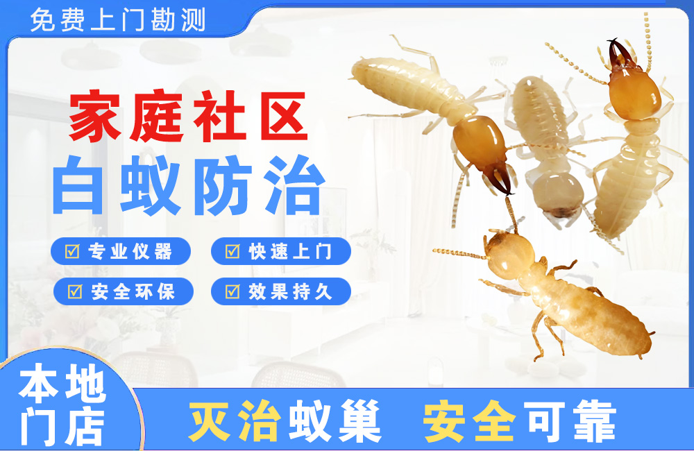 宣威家庭社区白蚁防治