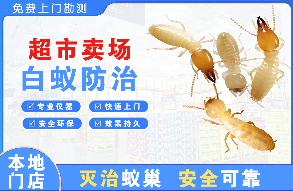 宣威超市卖场白蚁防治