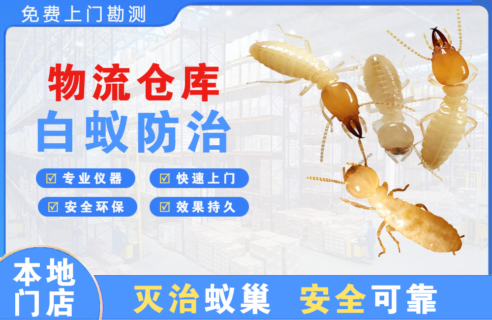 宣威物流仓库白蚁防治