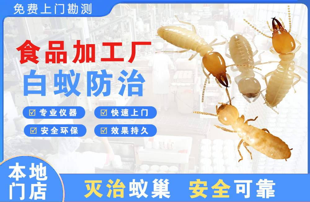 宣威食品加工厂白蚁防治