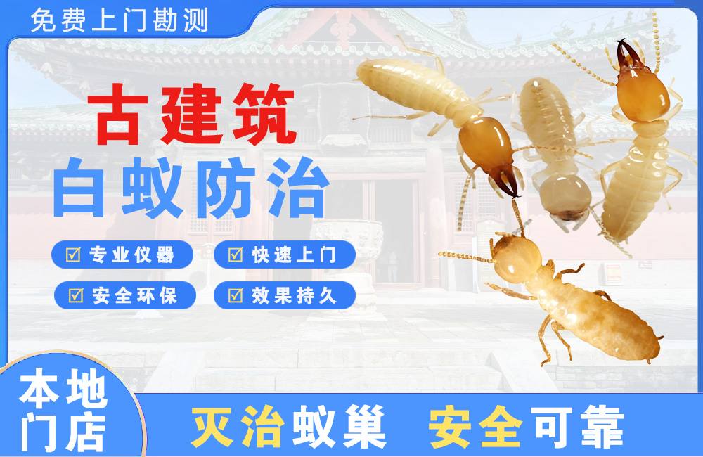 宣威古建筑白蚁防治