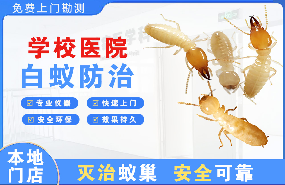 宣威学校医院白蚁防治