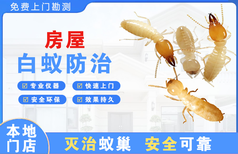 宣威房屋白蚁防治