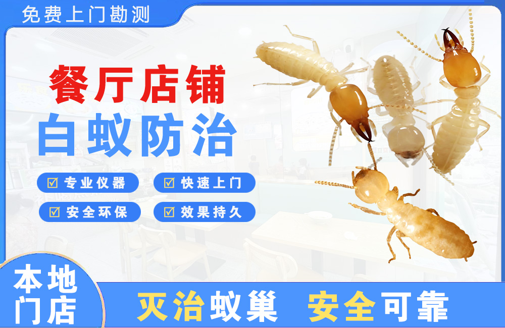 宣威餐厅店铺白蚁防治